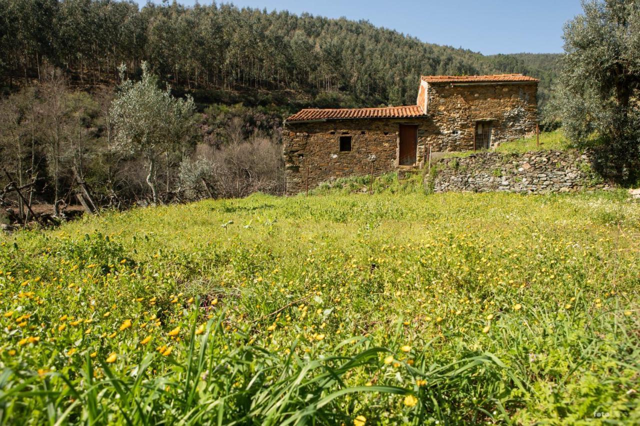 Villa Casinha Da Aldeia Castelo Branco  Exterior foto