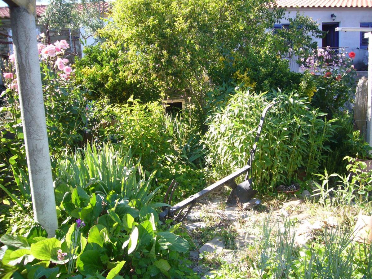 Villa Casinha Da Aldeia Castelo Branco  Exterior foto