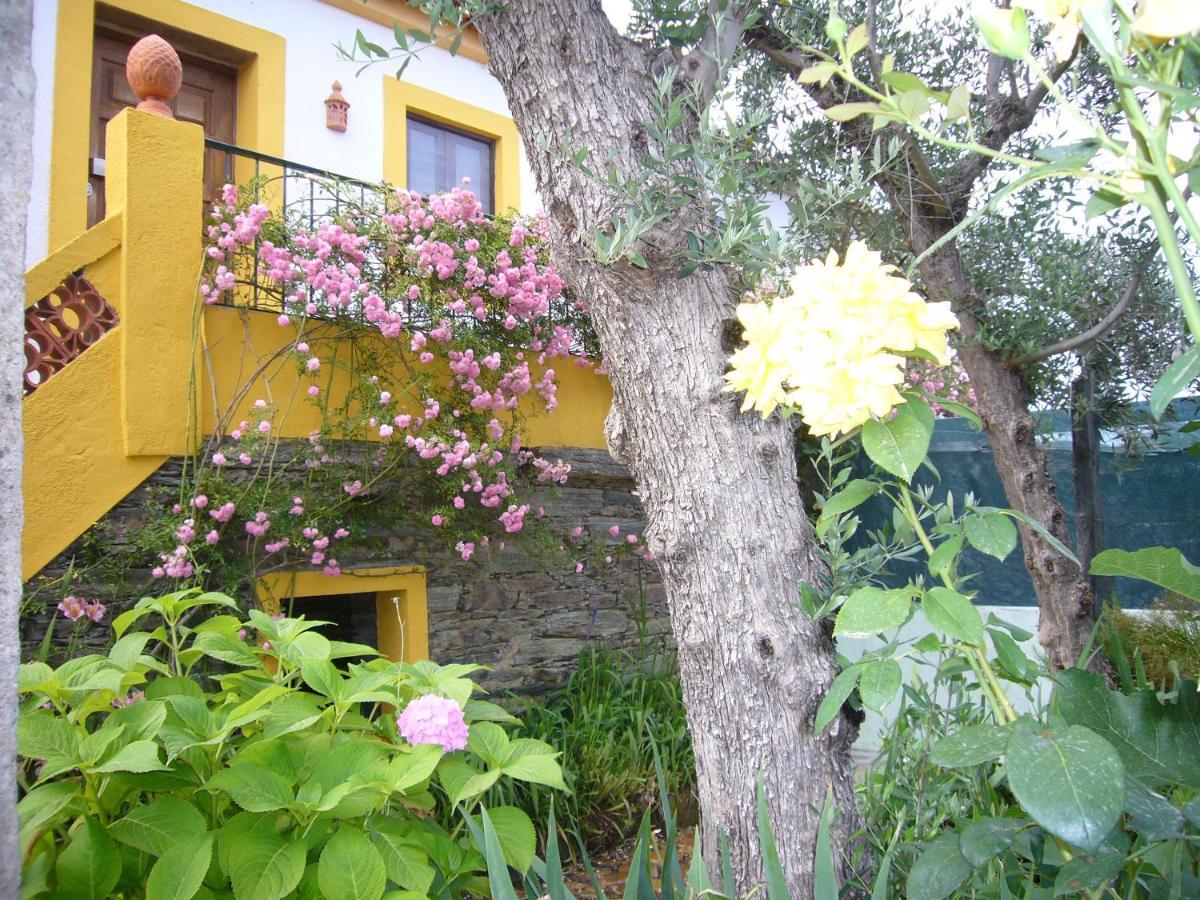 Villa Casinha Da Aldeia Castelo Branco  Exterior foto