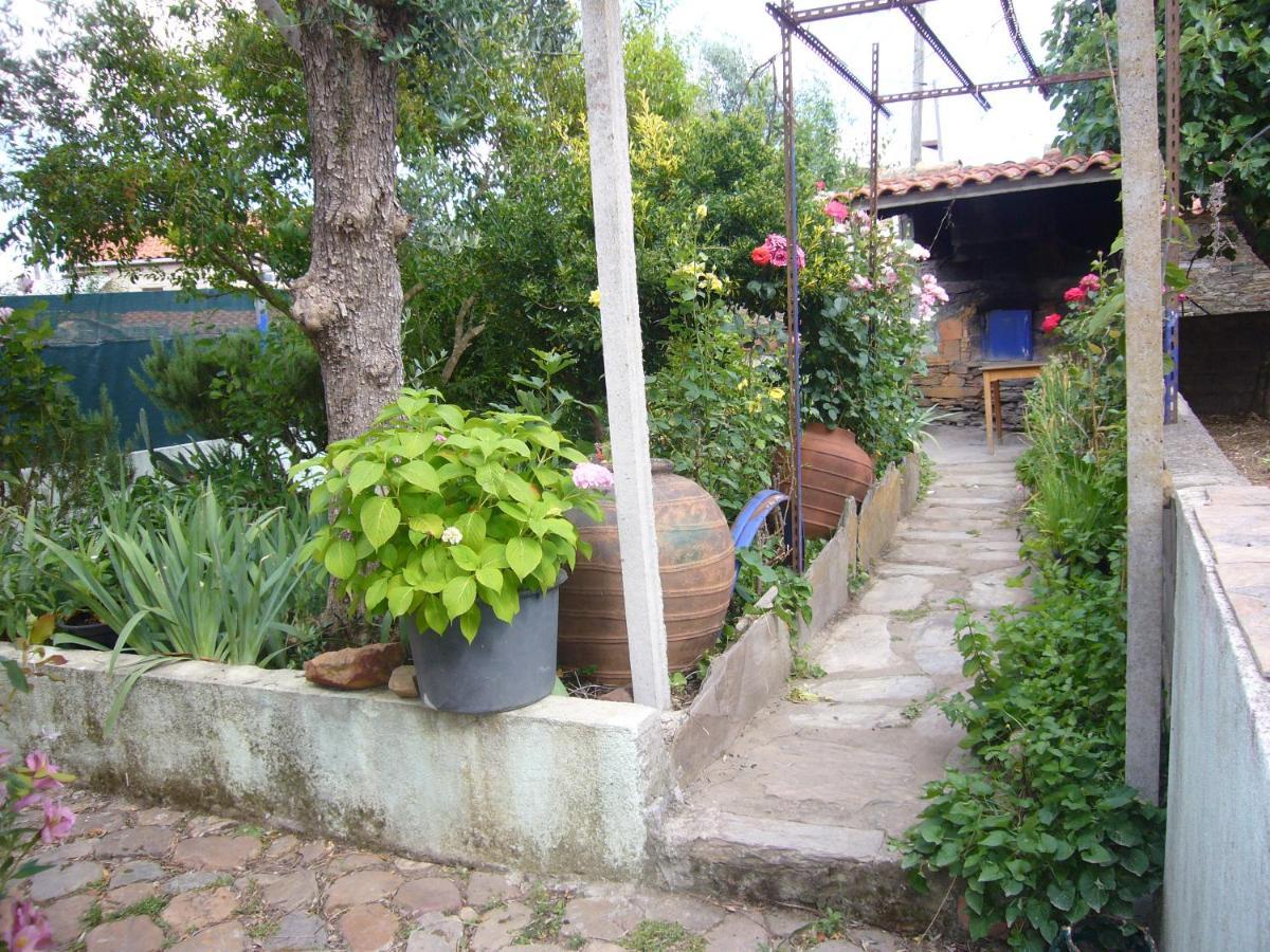 Villa Casinha Da Aldeia Castelo Branco  Exterior foto